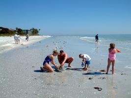 sandybeach for shelling